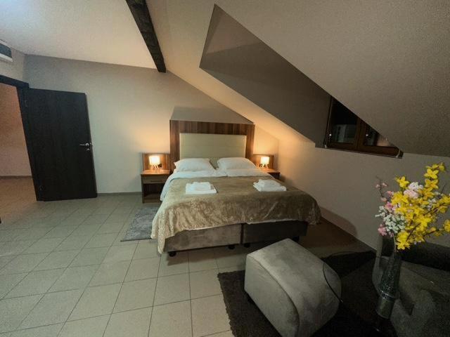 Jp Motel Mali Pariz Бор Экстерьер фото